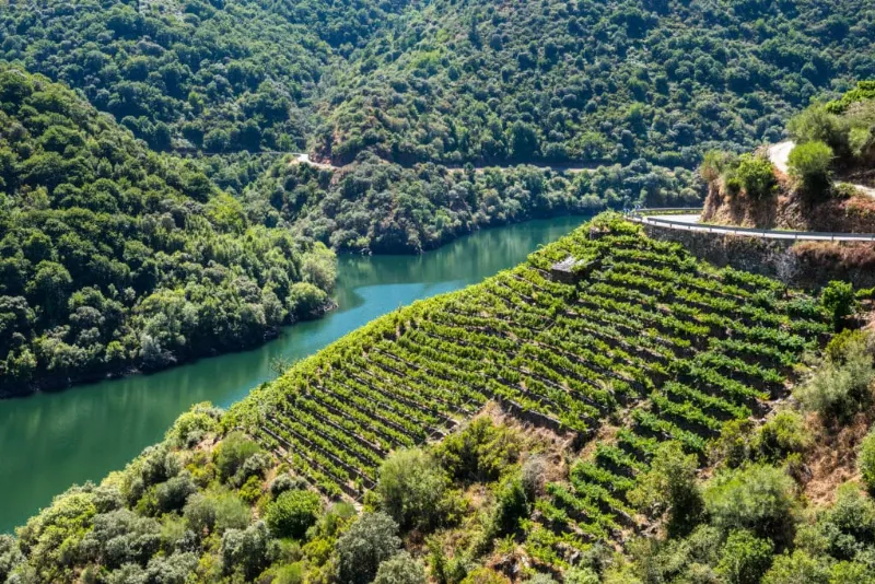 Ribeira Sacra: un paisaje de viñedos y cañones fluviales