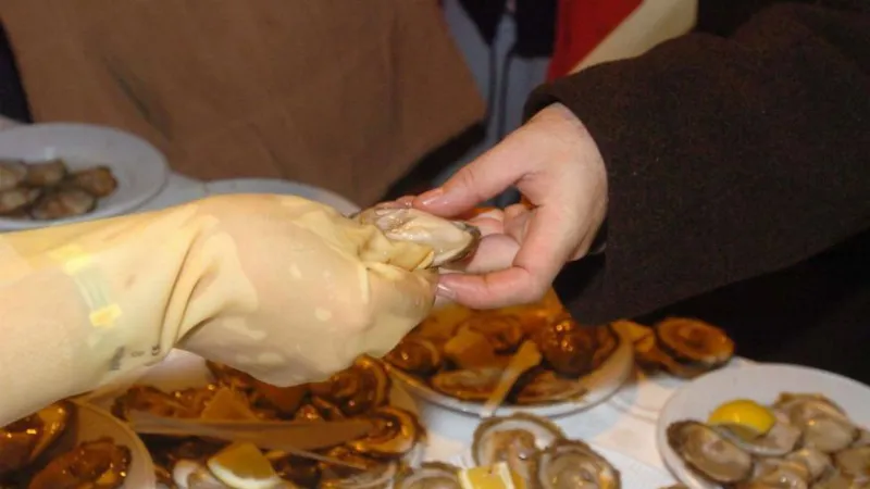 Ostras, el manjar de la Ría de Arousa