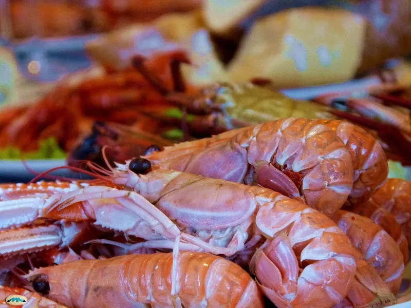 La cocina marinera de las Rías Baixas