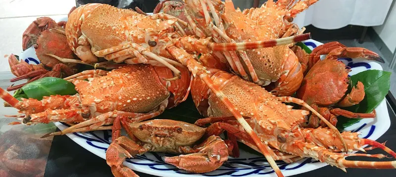Un recorrido por los mariscos gallegos más populares